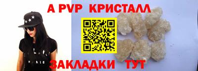 СК Кингисепп