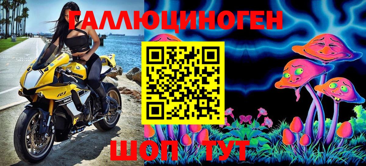 Галлюциногенные грибы GOLDEN TEACHER Котовск